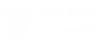 Expert Agentur - Umfangreich & Professionel Webdesign